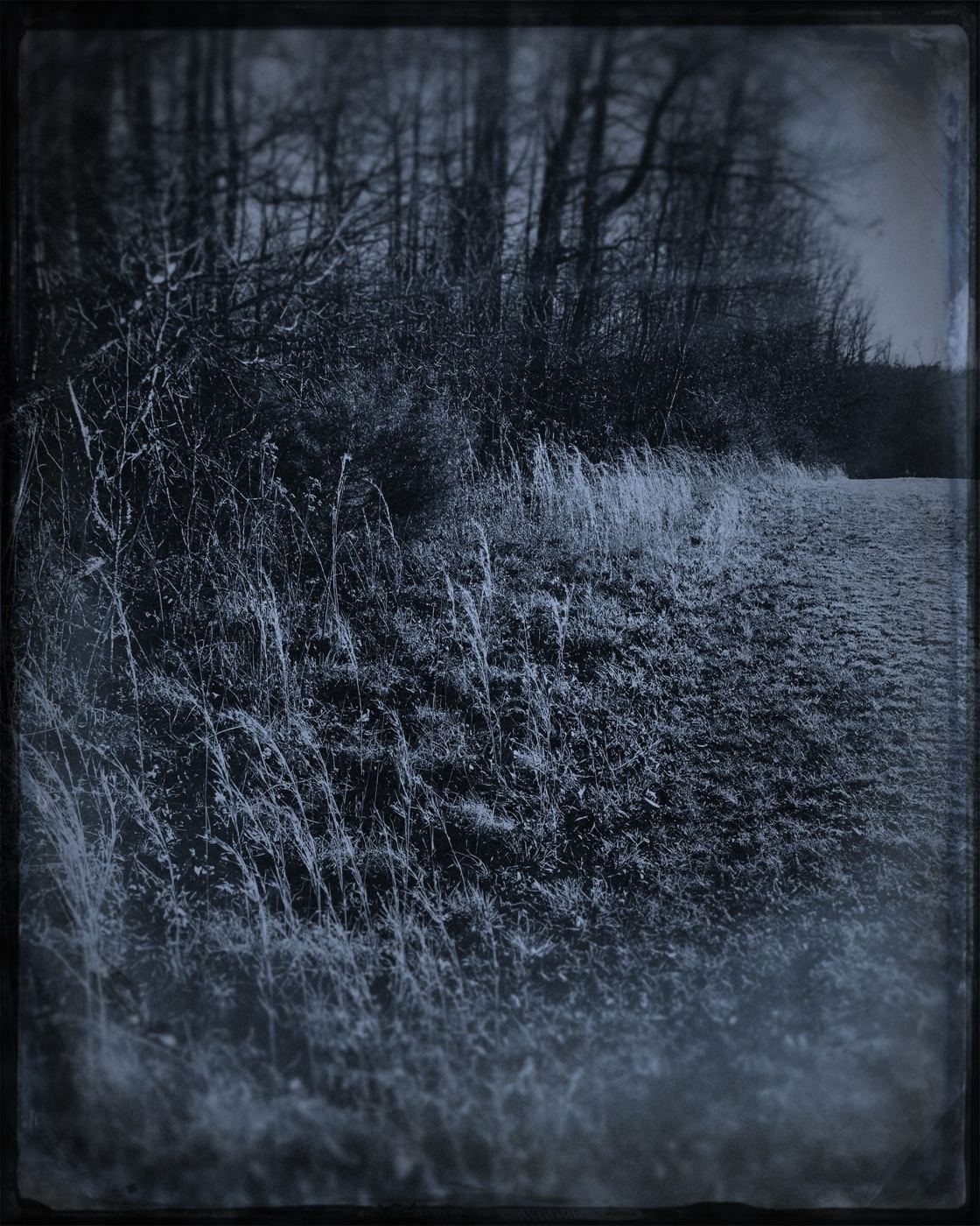 The same field, in blue