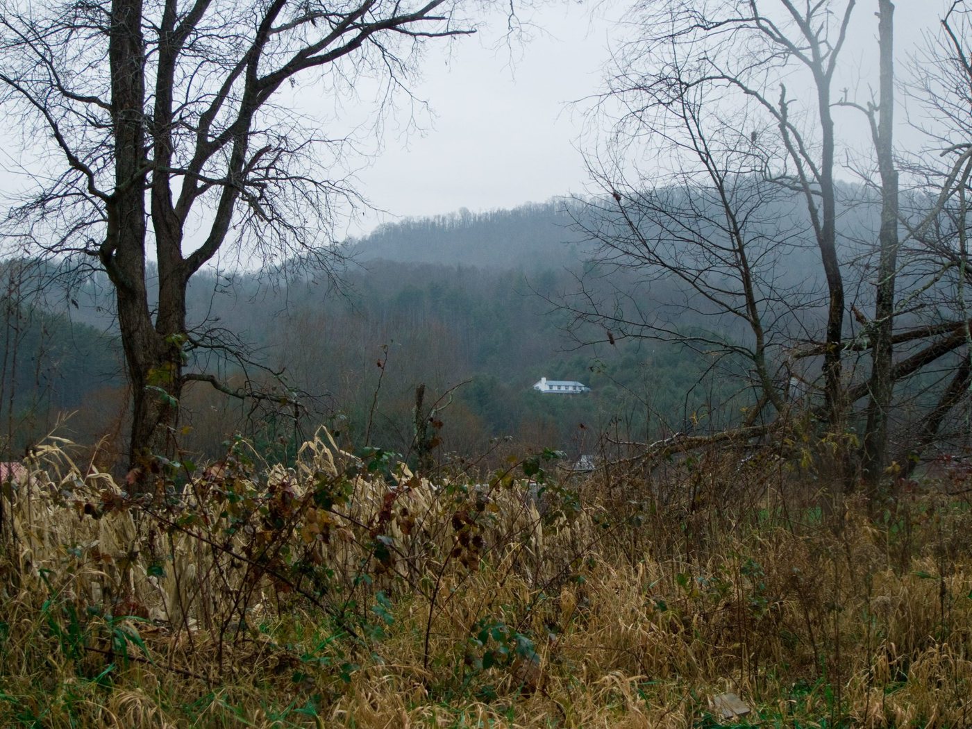 A field below wooded hills