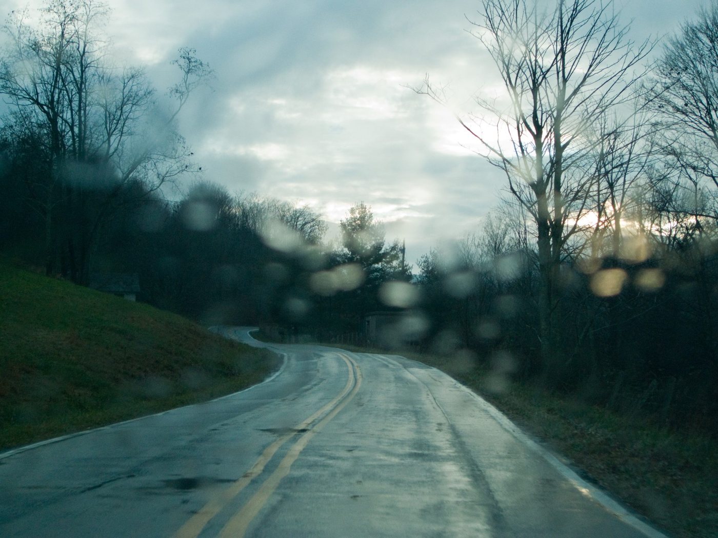 A road curving through bare trees, raindrops on the glass