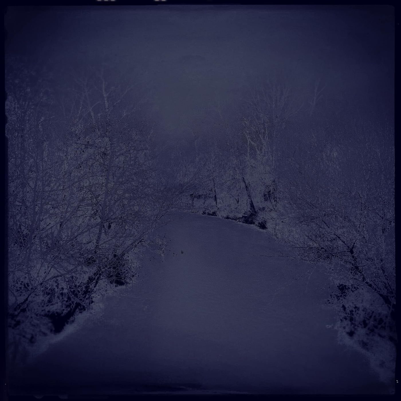 A snowy creek in violet dusk