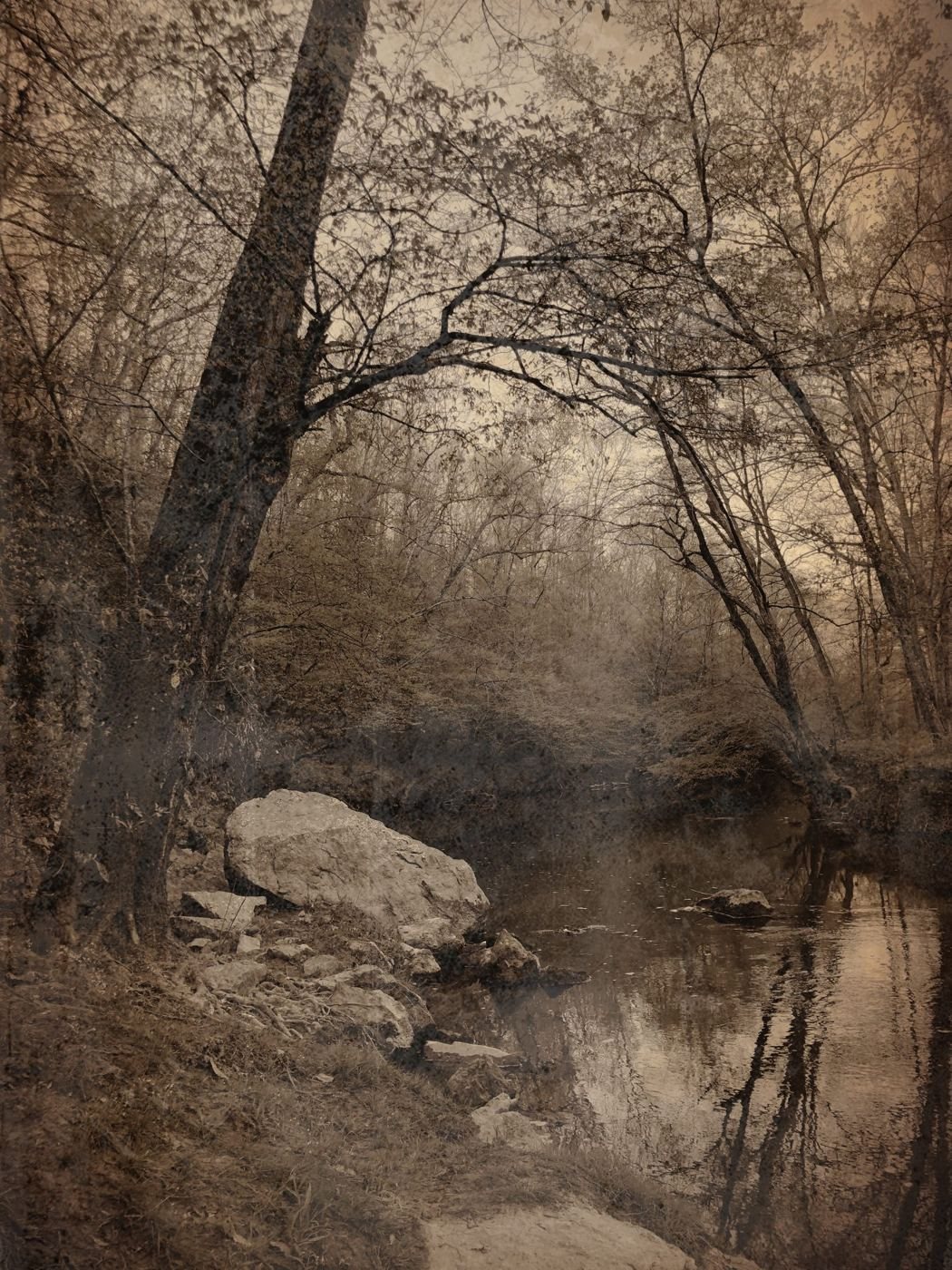 A creek with rocks under bare trees